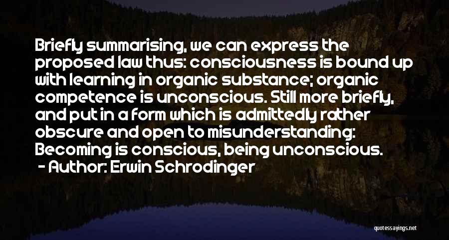 Form Over Substance Quotes By Erwin Schrodinger