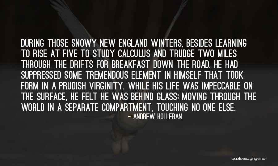 Form The Element Quotes By Andrew Holleran Form The Element Quotes By Andrew Holleran