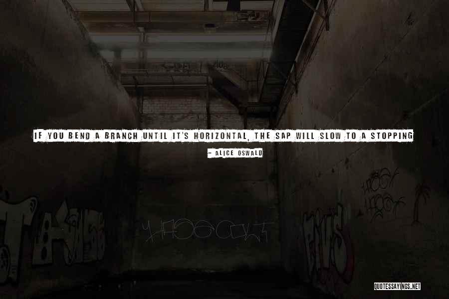Form Will Quotes By Alice Oswald Form Will Quotes By Alice Oswald