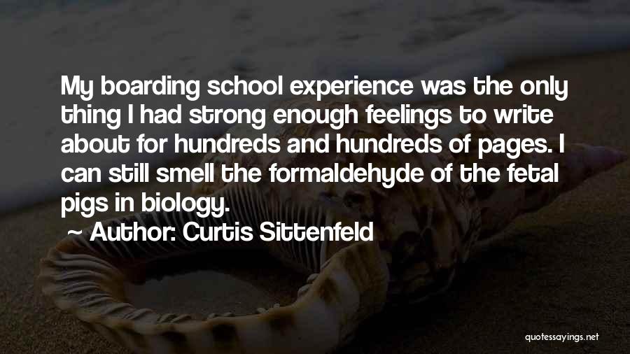 Formaldehyde Quotes By Curtis Sittenfeld