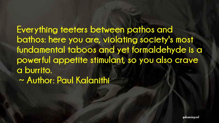 Formaldehyde Quotes By Paul Kalanithi