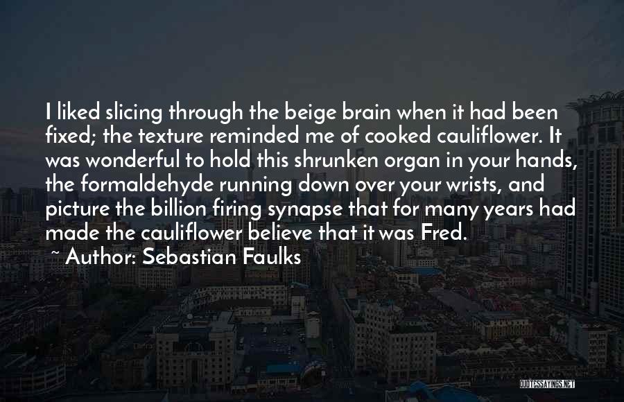 Formaldehyde Quotes By Sebastian Faulks