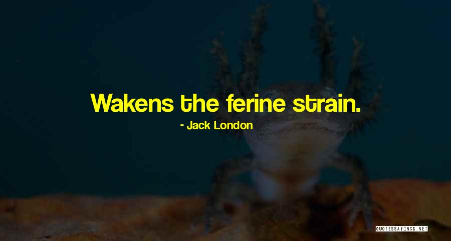 Formalisation Des Quotes By Jack London Formalisation Des Quotes By Jack London