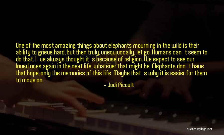 Formas Y Fuentes Quotes By Jodi Picoult Formas Y Fuentes Quotes By Jodi Picoult