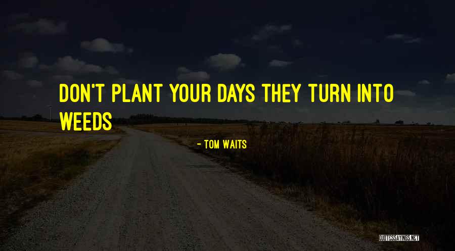 Formas Y Fuentes Quotes By Tom Waits Formas Y Fuentes Quotes By Tom Waits