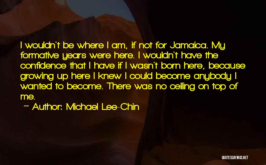 Formative Years Quotes By Michael Lee-Chin
