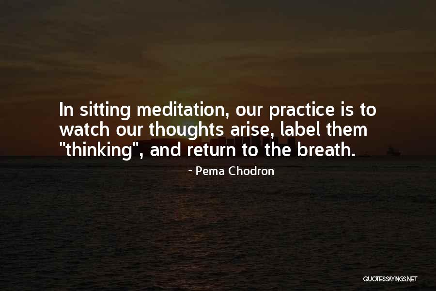 Formazione Odontoiatrica Quotes By Pema Chodron Formazione Odontoiatrica Quotes By Pema Chodron
