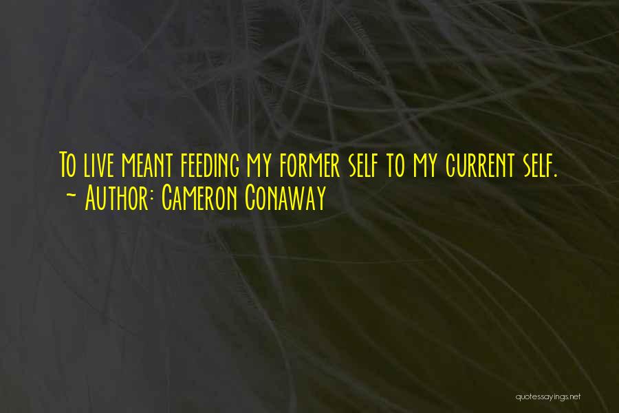 Former Life Quotes By Cameron Conaway