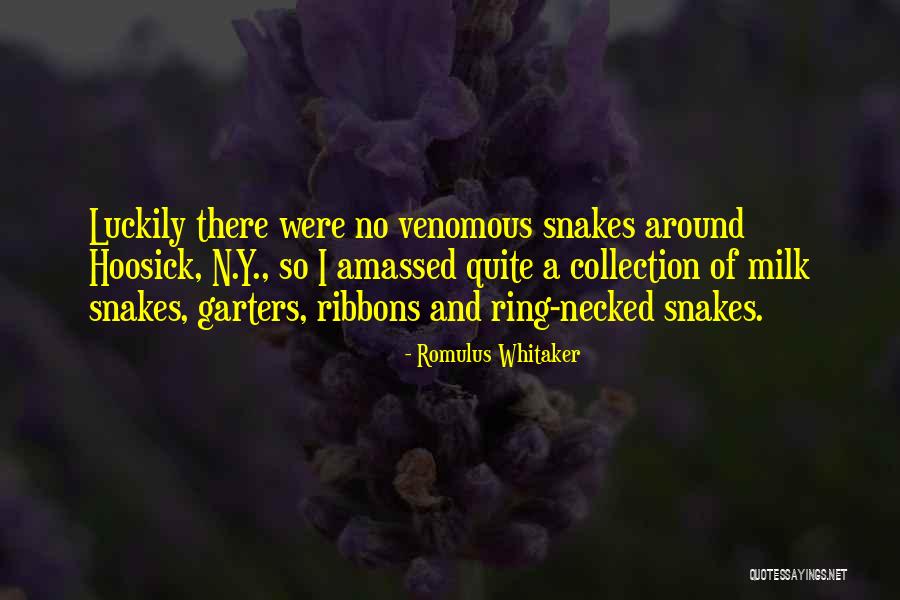 Former Mills Quotes By Romulus Whitaker Former Mills Quotes By Romulus Whitaker