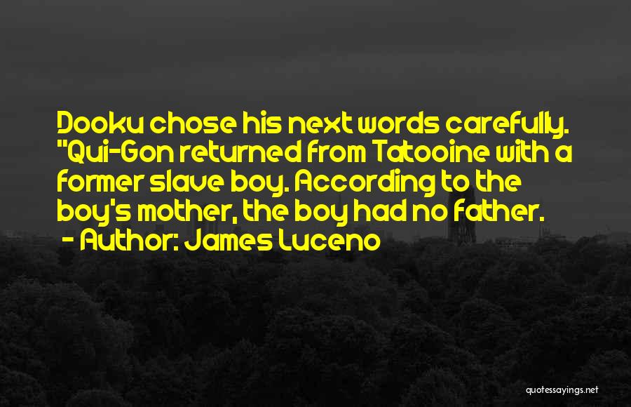 Former Slave Quotes By James Luceno