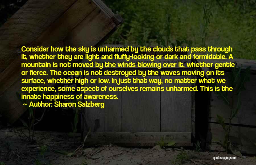 Formidable Quotes By Sharon Salzberg