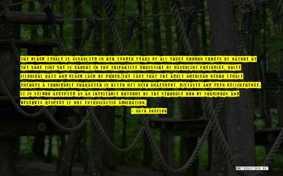 Formidable Years Quotes By Maya Angelou Formidable Years Quotes By Maya Angelou