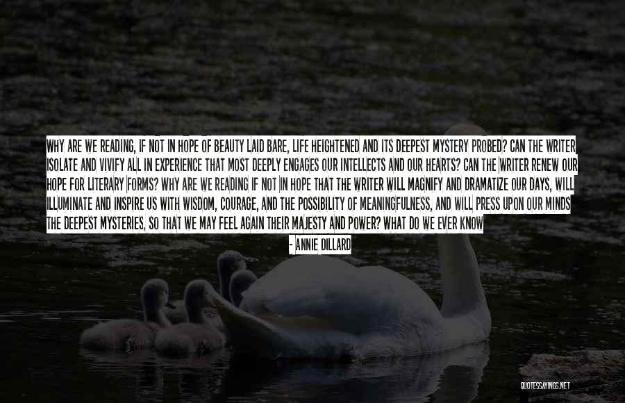 Forms Of Power Quotes By Annie Dillard Forms Of Power Quotes By Annie Dillard
