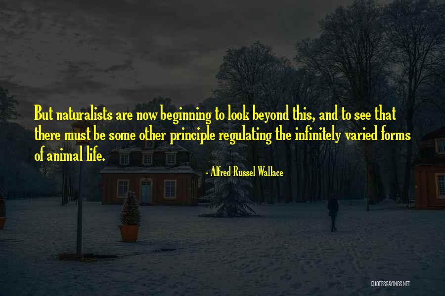 Forms Of To Be Quotes By Alfred Russel Wallace Forms Of To Be Quotes By Alfred Russel Wallace