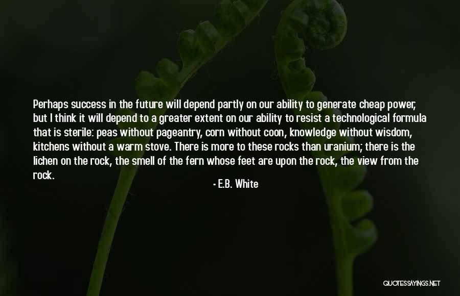 Formula Of Success Quotes By E.B. White Formula Of Success Quotes By E.B. White