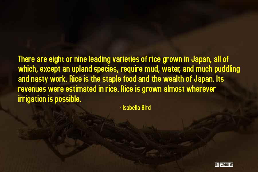 Fornaris Dental Quotes By Isabella Bird Fornaris Dental Quotes By Isabella Bird