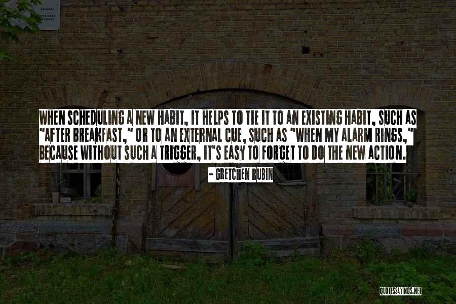 Fornaro Field Quotes By Gretchen Rubin Fornaro Field Quotes By Gretchen Rubin
