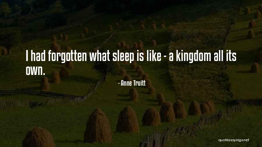 Fornito And Associates Quotes By Anne Truitt Fornito And Associates Quotes By Anne Truitt