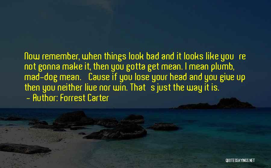 Forrest Carter Quotes 155051