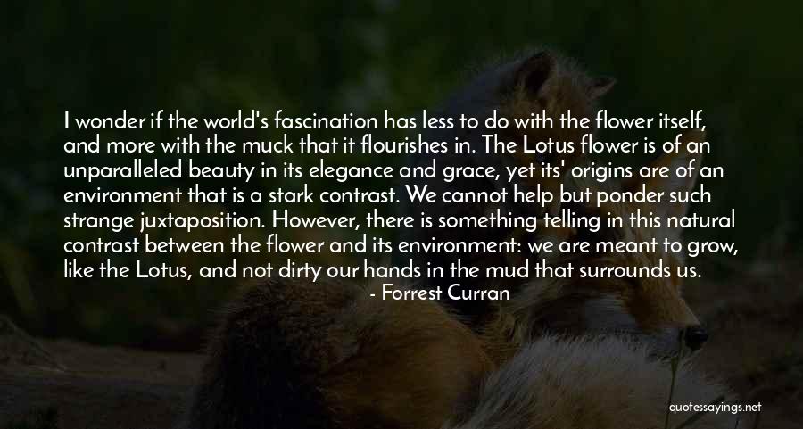 Forrest Curran Quotes 1545456 Forrest Curran Quotes 1545456