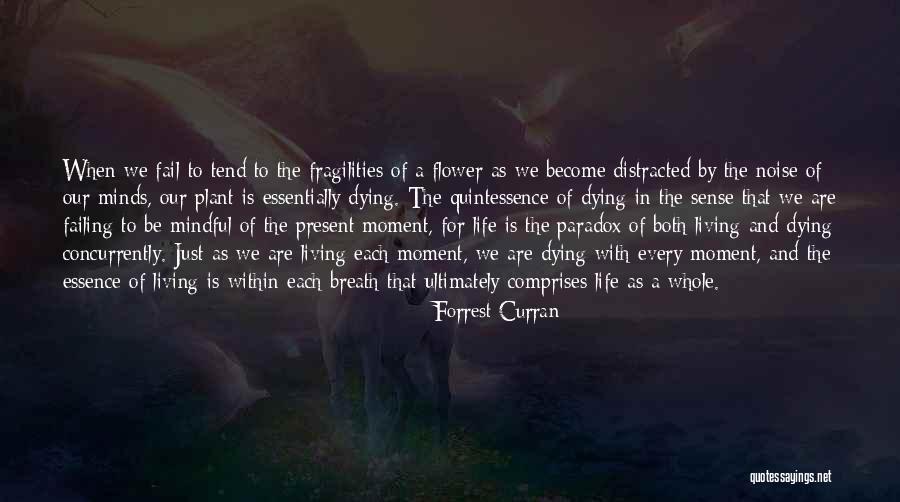 Forrest Curran Quotes 211420