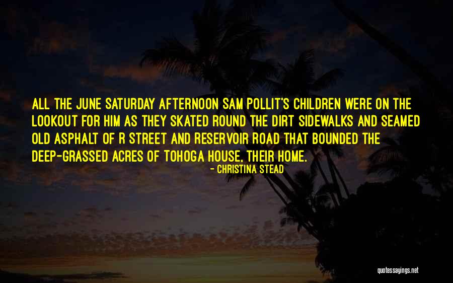 Forsee Southdowns Quotes By Christina Stead Forsee Southdowns Quotes By Christina Stead