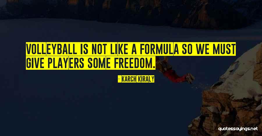 Forstinger At Quotes By Karch Kiraly Forstinger At Quotes By Karch Kiraly