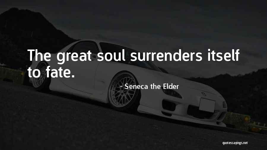 Fortesa Bhangarh Quotes By Seneca The Elder Fortesa Bhangarh Quotes By Seneca The Elder