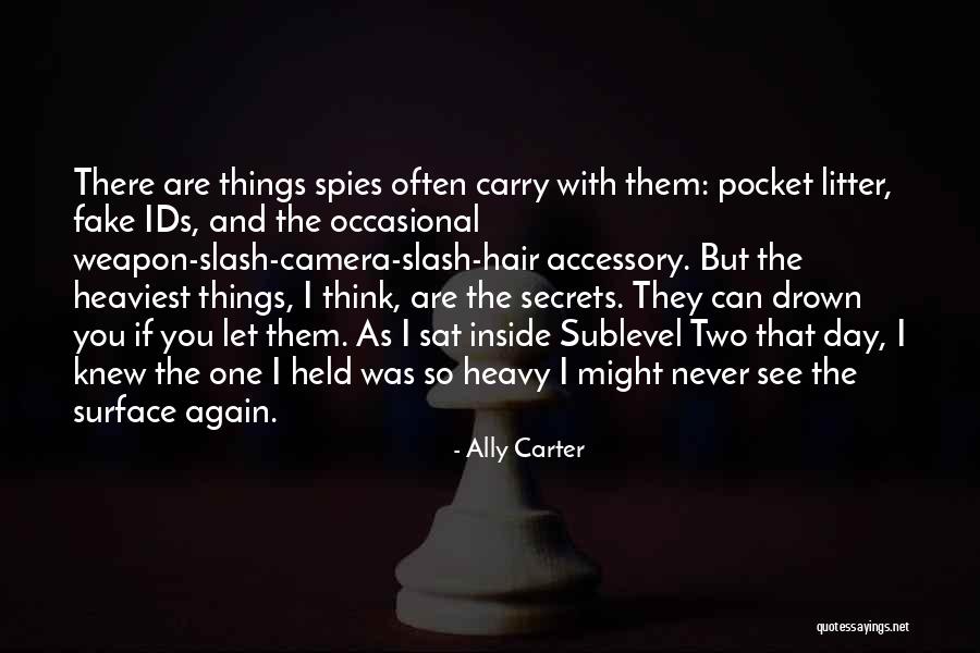 Forteza Crane Quotes By Ally Carter Forteza Crane Quotes By Ally Carter