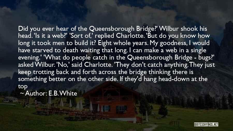 Forth Bridge Quotes By E.B. White