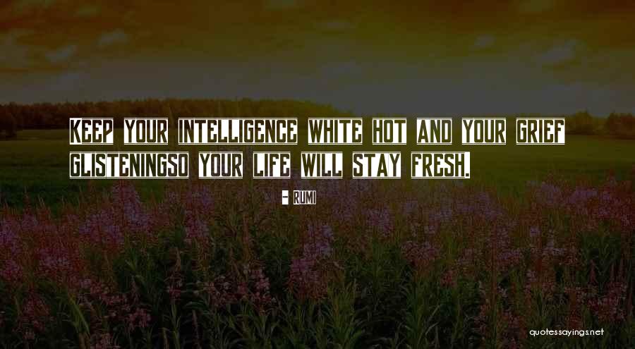 Fortify Pi Quotes By Rumi Fortify Pi Quotes By Rumi