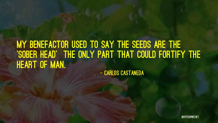 Fortify Quotes By Carlos Castaneda Fortify Quotes By Carlos Castaneda