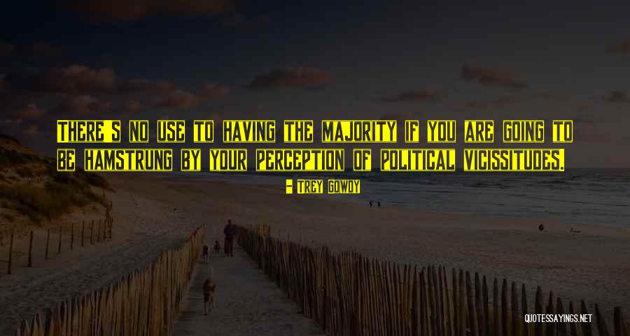 Fortin Amps Quotes By Trey Gowdy Fortin Amps Quotes By Trey Gowdy
