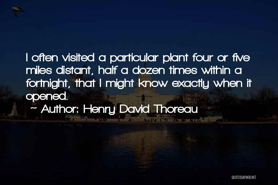 Fortnight Quotes By Henry David Thoreau