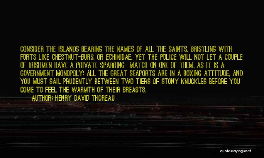 Forts Quotes By Henry David Thoreau
