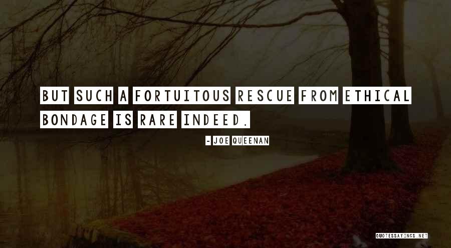 Fortuitous Quotes By Joe Queenan Fortuitous Quotes By Joe Queenan