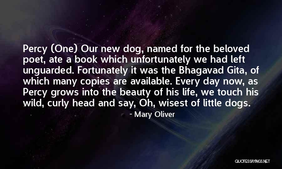 Fortunately Book Quotes By Mary Oliver Fortunately Book Quotes By Mary Oliver