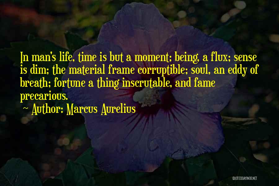 Fortune And Fame Quotes By Marcus Aurelius