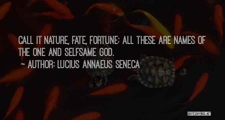 Fortune And Fate Quotes By Lucius Annaeus Seneca