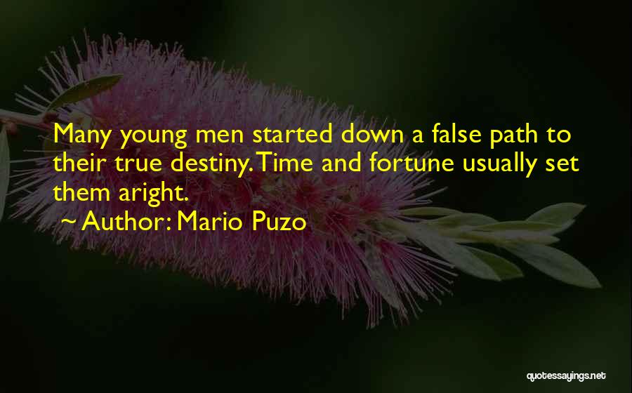 Fortune And Fate Quotes By Mario Puzo