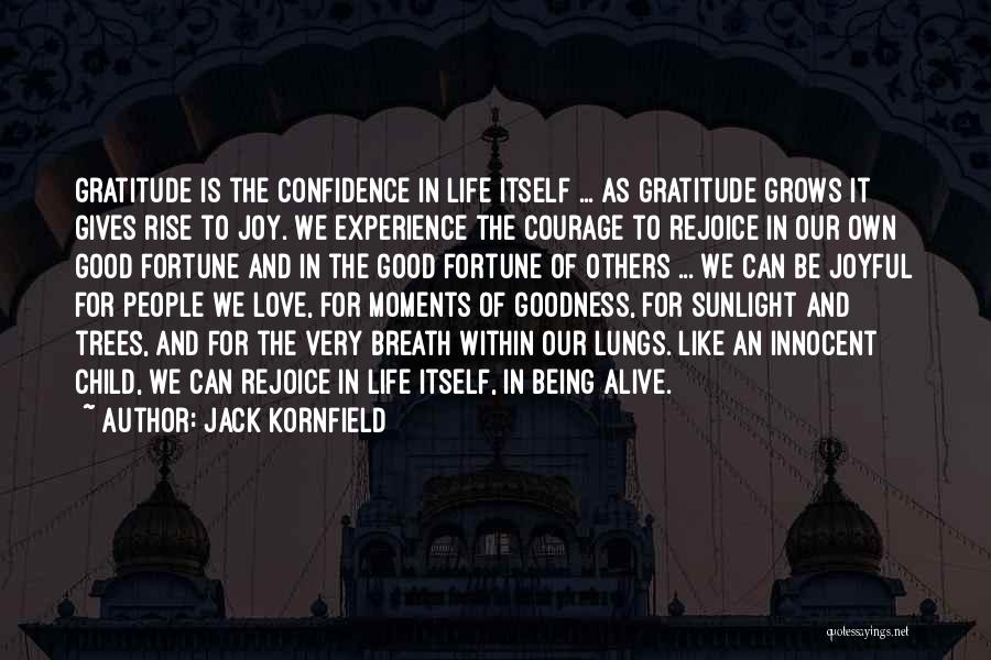 Fortune And Love Quotes By Jack Kornfield