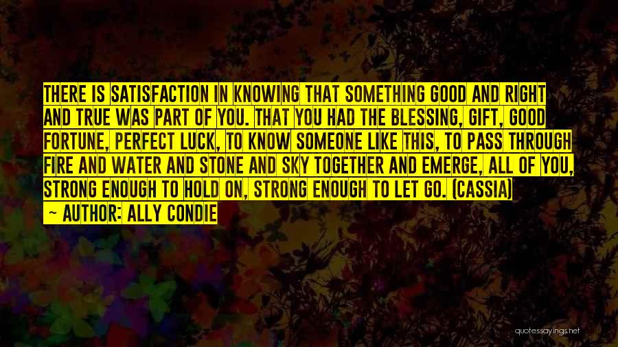 Fortune And Luck Quotes By Ally Condie