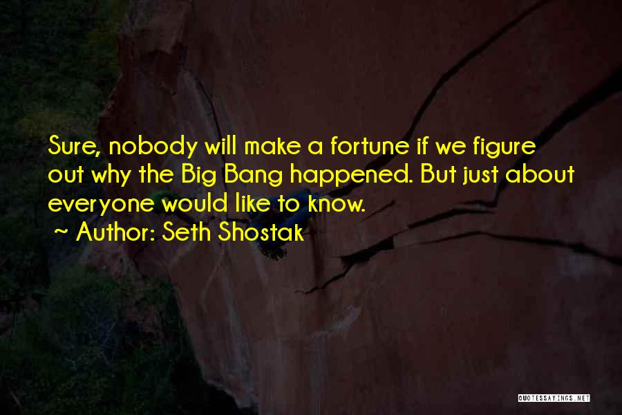 Fortune Quotes By Seth Shostak