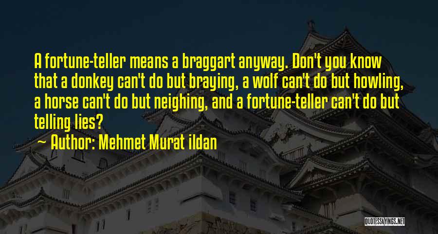 Fortune Telling Quotes By Mehmet Murat Ildan