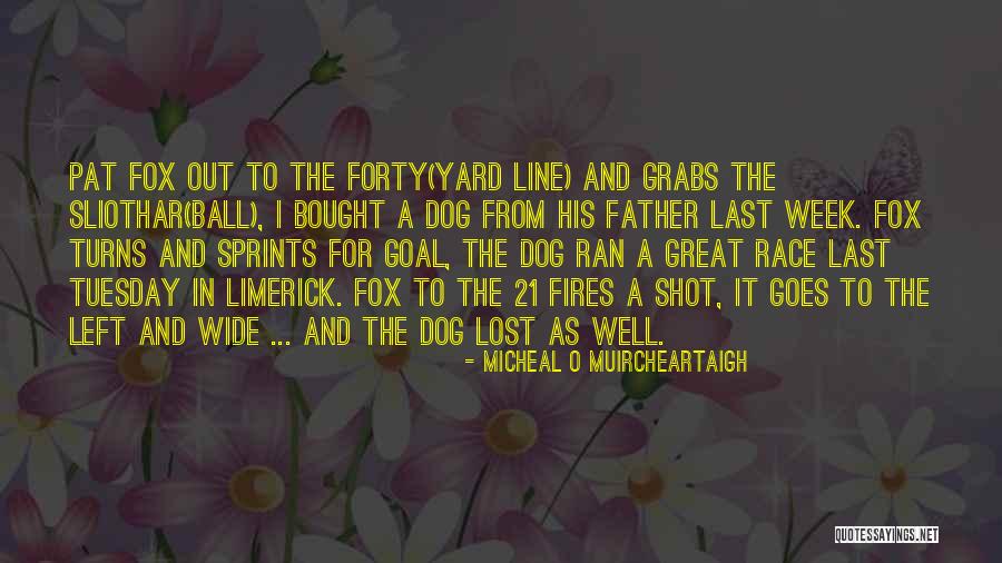 Forty Yard Quotes By Micheal O Muircheartaigh Forty Yard Quotes By Micheal O Muircheartaigh
