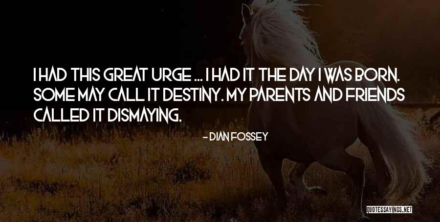 Fossey Dian Quotes By Dian Fossey Fossey Dian Quotes By Dian Fossey