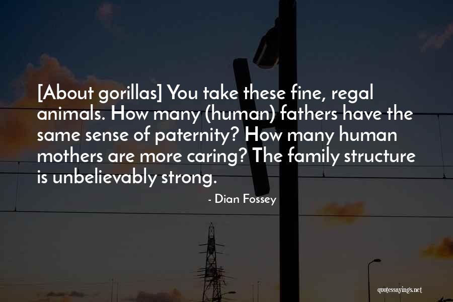 Fossey Dian Quotes By Dian Fossey Fossey Dian Quotes By Dian Fossey