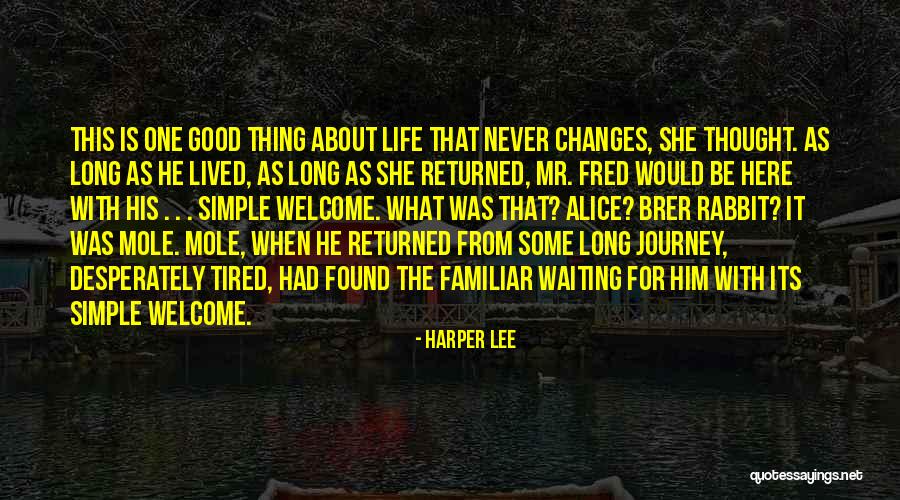 Fossey Dian Quotes By Harper Lee Fossey Dian Quotes By Harper Lee