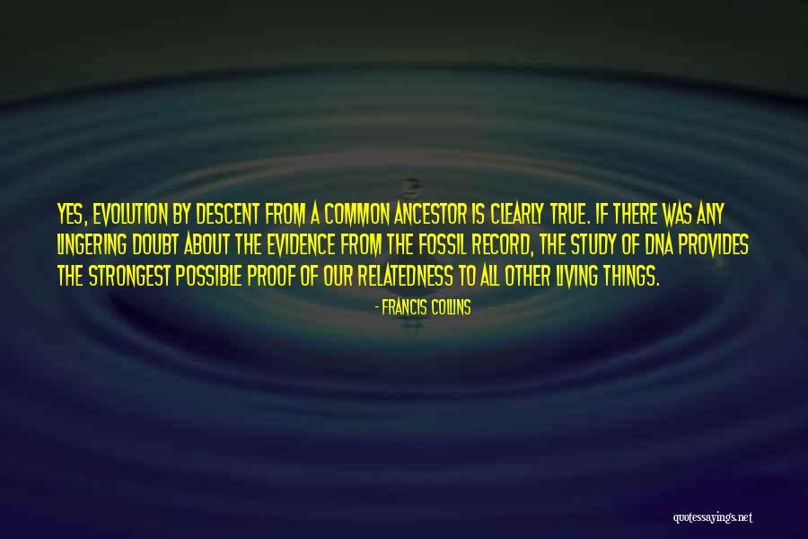Fossil Evolution Quotes By Francis Collins Fossil Evolution Quotes By Francis Collins