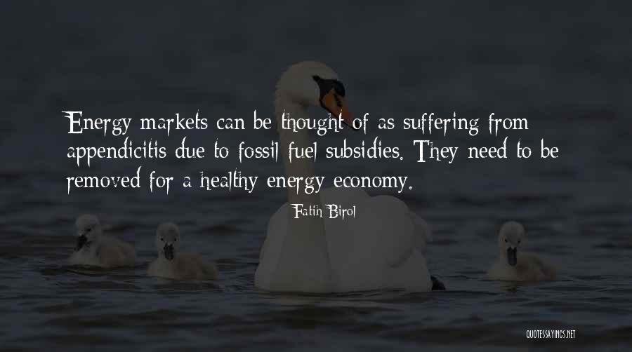 Fossil Fuel Subsidies Quotes By Fatih Birol Fossil Fuel Subsidies Quotes By Fatih Birol